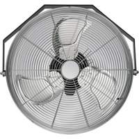 Wall-Mounted Fans
