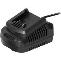 Chargeur de pile simple, 20 V Auto Electric Service Ltd.
