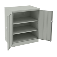Deluxe Counter High Cabinet, Steel, 2 Shelves, 42" H x 36" W x 24" D, Light Grey Auto Electric Service Ltd.