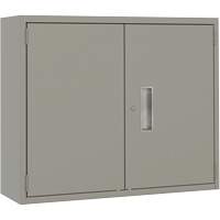 Wall Mounted Cabinet, Steel, 2 Shelves, 30" H x 36" W x 12" D, Grey Auto Electric Service Ltd.