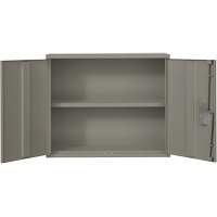Wall Mounted Cabinet, Steel, 2 Shelves, 30" H x 36" W x 12" D, Grey Auto Electric Service Ltd.