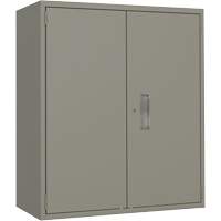 Lo-Boy Storage Cabinet, Steel, 2 Shelves, 40" H x 36" W x 18" D, Grey Auto Electric Service Ltd.