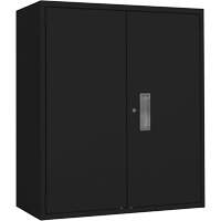 Lo-Boy Storage Cabinet, Steel, 2 Shelves, 42" H x 36" W x 18" D, Black Auto Electric Service Ltd.