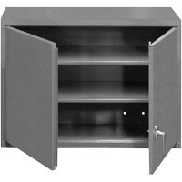 Armoire murale, 27" h x 29-7/8" la x 13-11/16" p, 2 tablettes, Acier, Gris Auto Electric Service Ltd.
