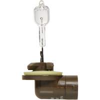 886 Basic Fog Light Bulb, Halogen, 50 W, Off White Auto Electric Service Ltd.
