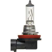 H8 Basic Headlight Bulb, Halogen, 35 W, Off White Auto Electric Service Ltd.