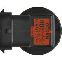 H8 Basic Headlight Bulb, Halogen, 35 W, Off White Auto Electric Service Ltd.