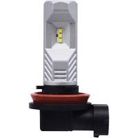 H8 Headlight Bulb, LED, 12.8 W/9 W, White Auto Electric Service Ltd.