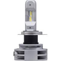 9003 Headlight Bulb, LED, 12 W/14 W/24 W, White Auto Electric Service Ltd.