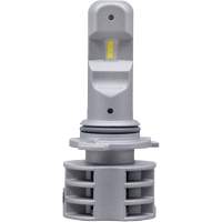 9006 Headlight Bulb, LED, 13.2 W/17 W, White Auto Electric Service Ltd.