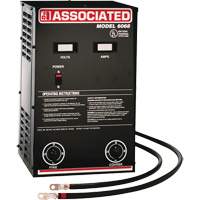 Powerful Performance Parallel Battery Charger Auto Electric Service Ltd.