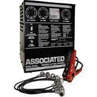 Multi-Battery Series Charger Auto Electric Service Ltd.