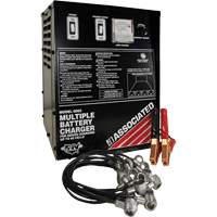Multi-Battery Series Charger Auto Electric Service Ltd.
