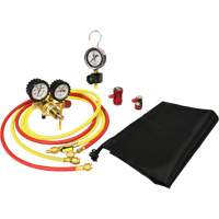 Automotive A/C Nitrogen Leak Test Kit with Regulator Auto Electric Service Ltd.