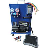 Dual R134A/R1234Yf Single-Stage Portable Electronic Charging Station Auto Electric Service Ltd.