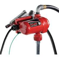 12V DC Fuel Transfer Pump with Nozzle Auto Electric Service Ltd.