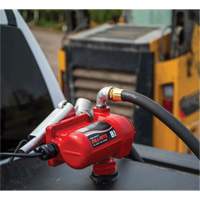12V DC Fuel Transfer Pump with Nozzle Auto Electric Service Ltd.