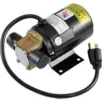 Low Profile Truck Drain with Electric Pump Auto Electric Service Ltd.