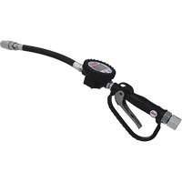 Flexible 1500 PSI Electronic Totalizing Meter Auto Electric Service Ltd.