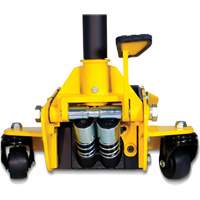 Pro Series Trolley Jack, 3 Ton(s) Capacity, 3-3/4" Lowered, 19-69/100" Raised, Manual Hydraulic Auto Electric Service Ltd.