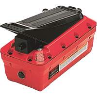 10000 PSI Air/Hydraulic Foot Pump Auto Electric Service Ltd.