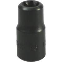 E-8 Torx&reg; Socket Auto Electric Service Ltd.