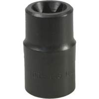 E-18 Torx&reg; Socket Auto Electric Service Ltd.