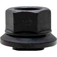 100-Piece Graphite-Coated Skirt Nuts for Pilot Hub Wheels Auto Electric Service Ltd.