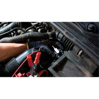 Tall Frame Brake-Pro Pressure Brake Bleeder with Adapters Auto Electric Service Ltd.