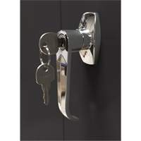 Armoire d'entreposage, Acier, 4 Tablettes, 66" h x 30" la x 15" P, Noir Auto Electric Service Ltd.