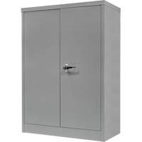 Armoire de rangement &agrave; hauteur de comptoir, Acier, 2 Tablettes, 42" h x 30" la x 15" P, Gris Auto Electric Service Ltd.