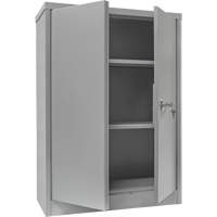 Armoire de rangement &agrave; hauteur de comptoir, Acier, 2 Tablettes, 42" h x 30" la x 15" P, Gris Auto Electric Service Ltd.