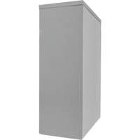 Armoire de rangement &agrave; hauteur de comptoir, Acier, 2 Tablettes, 42" h x 30" la x 15" P, Gris Auto Electric Service Ltd.