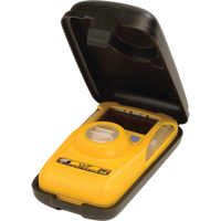 BW Hibernation Case for BW Clip Auto Electric Service Ltd.