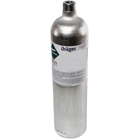 Hydrogen Sulfide Calibration Gas Auto Electric Service Ltd.