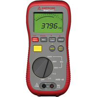 AMB-45 Digital Megohmmeter Auto Electric Service Ltd.