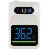 Non Contact Thermometer, Digital Auto Electric Service Ltd.