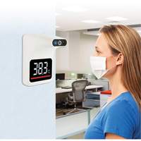 Non Contact Thermometer, Digital Auto Electric Service Ltd.