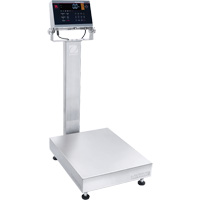 Defender 6000 Washdown Bench Scale, 100 lbs. Capacity, 19-7/10" L x 15-7/10" W Auto Electric Service Ltd.