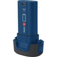 Batterie de remplacement R2170 3,7 V Auto Electric Service Ltd.