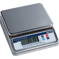 Bench Weighing Scale, 15 Kg Cap., 1 g Graduations Auto Electric Service Ltd.