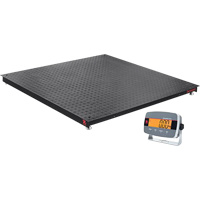 Defender 3000 Floor Scale, 5000 lbs. Capacity, 4' L x 4' W Auto Electric Service Ltd.
