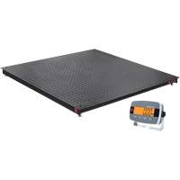 DEFENDER 3000 Floor Scale, 2500 lbs. Capacity, 48" W x 48" L Auto Electric Service Ltd.