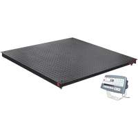 DEFENDER 5000 Floor Scale, 2500 lbs. Capacity, 48" W x 48" L Auto Electric Service Ltd.