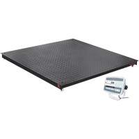 DEFENDER 5000 Floor Scale, 5000 lbs. Capacity, 48" W x 48" L Auto Electric Service Ltd.