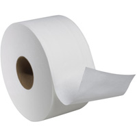 Advanced Soft Mini Toilet Paper, Jumbo Roll, 2 Ply, 751' Length, White Auto Electric Service Ltd.
