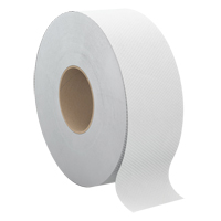 Papier hygi&eacute;nique Pro Select, Rouleau G&eacute;ant, 2 Pli, Longueur 900', Blanc Auto Electric Service Ltd.
