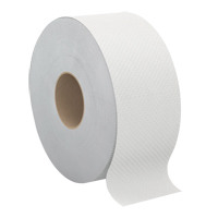 Papier hygi&eacute;nique Pro Select, Rouleau G&eacute;ant, 2 Pli, Longueur 500', Blanc Auto Electric Service Ltd.