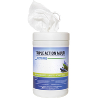 Triple Action Multi Disinfecting Wipes, 7" x 8", 120 Count Auto Electric Service Ltd.