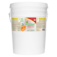 Neutral Cleaner, 20 L, Pail Auto Electric Service Ltd.